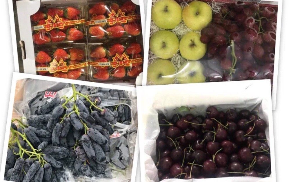 Thủ tục nhập khẩu trái cây tươi: Kiểm dịch & ATTP mới nhất 2026