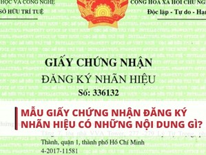 Giấy chứng nhận đăng ký nhãn hiệu