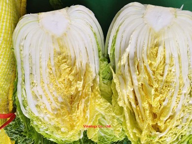 Rau cải thảo nhập khẩu