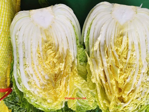 Rau cải thảo nhập khẩu