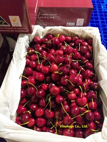 Vinalogs kiểm hóa hàng cherry nhập khẩu tại sân bay Nội Bài