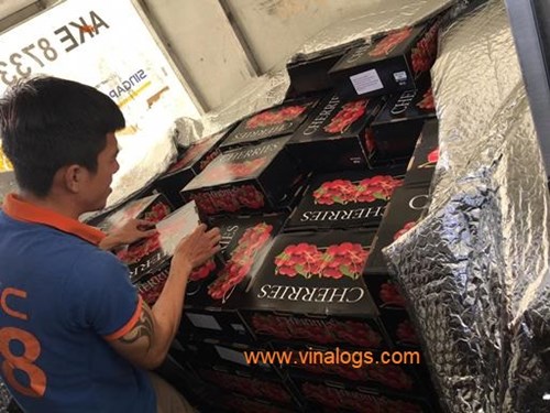 Lấy mẫu kiểm dịch trái cây tươi nhập khẩu